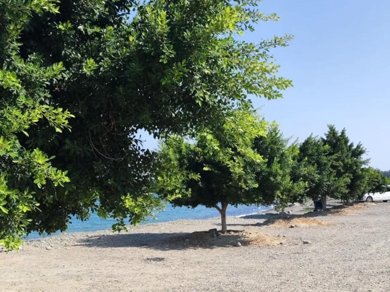 Konacık, - 1