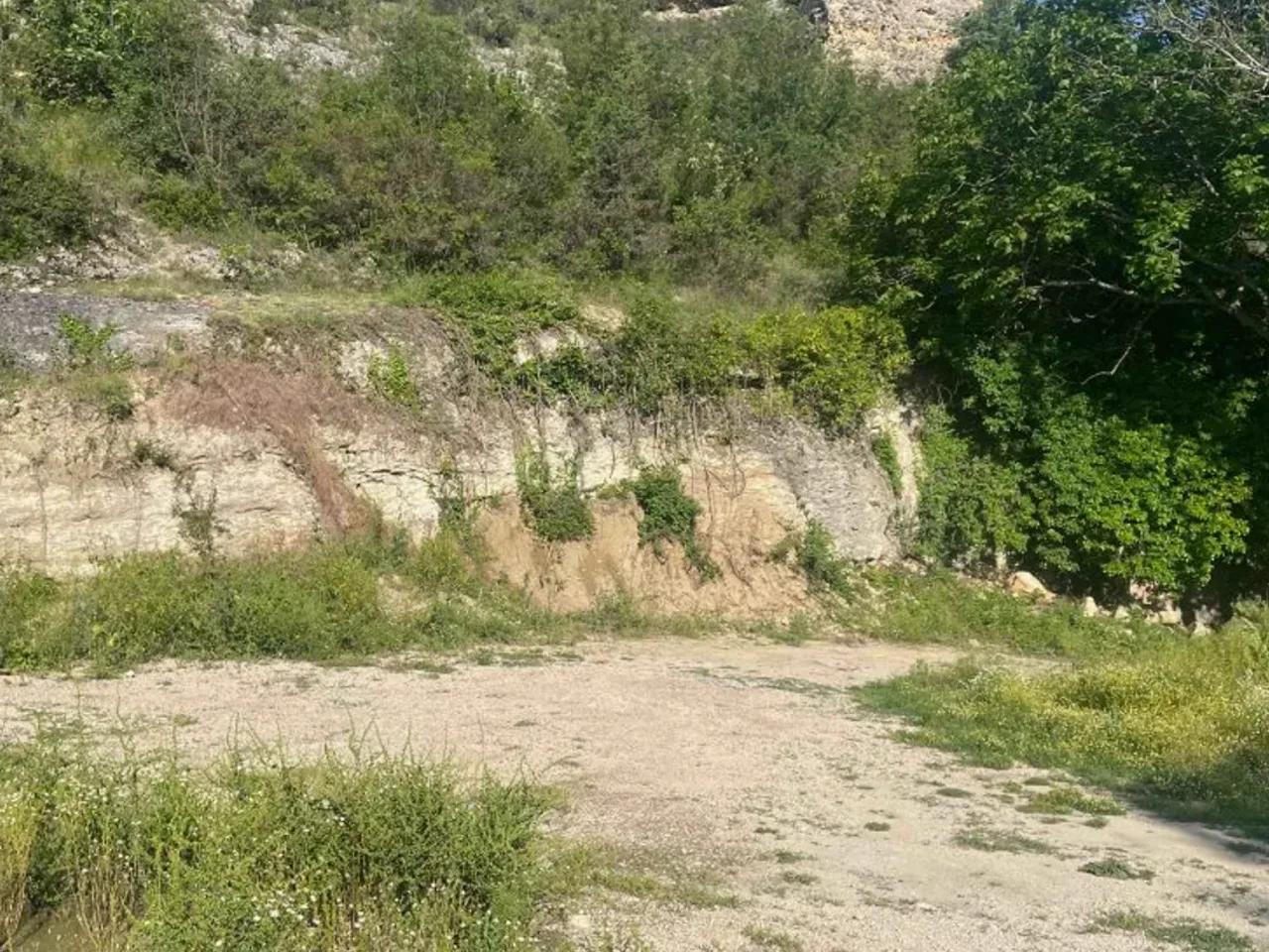 Konarı, - 2