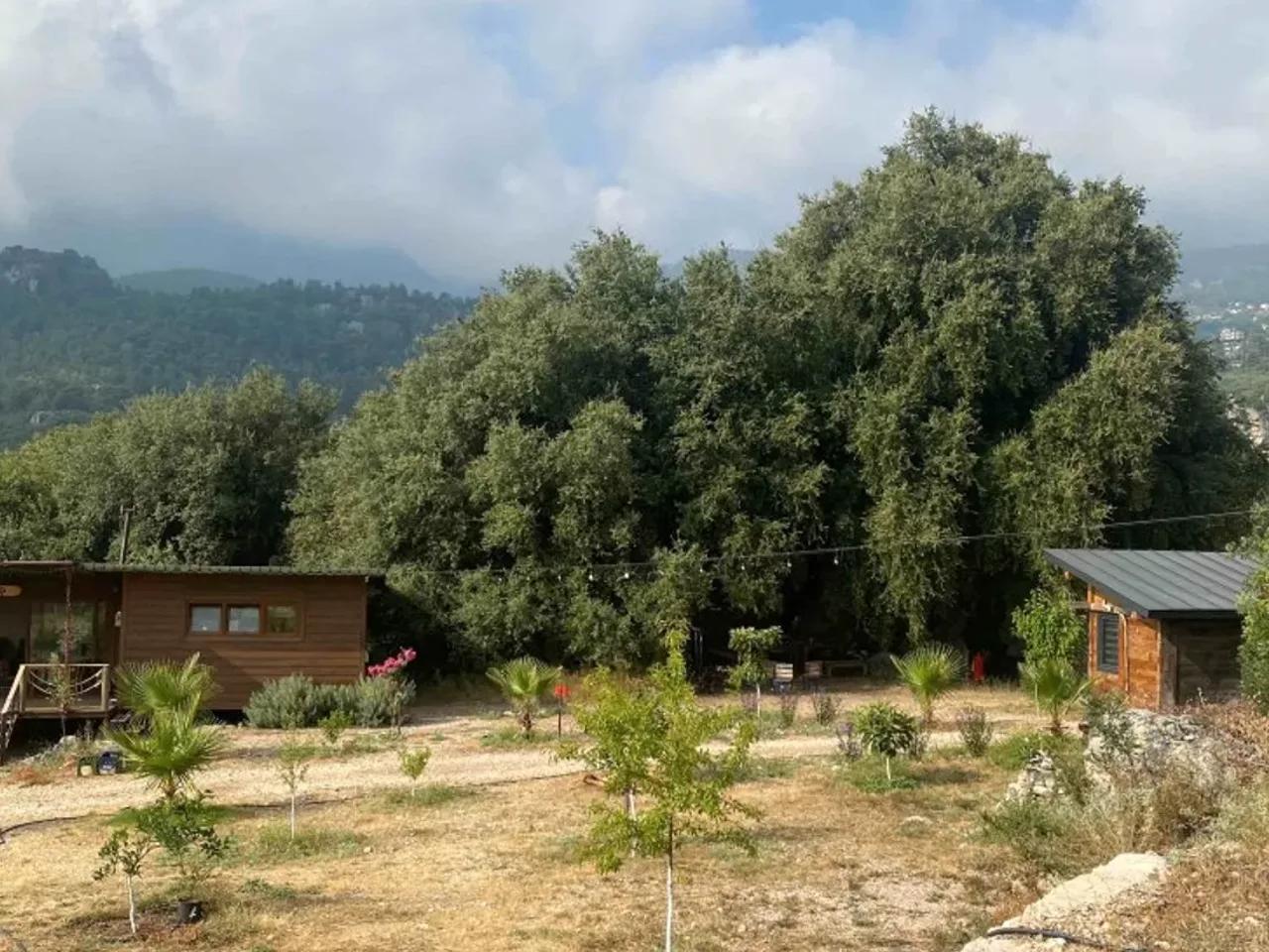 Konyaaltı,Üzeri Geyikbayırı Köyü Yolu - 1
