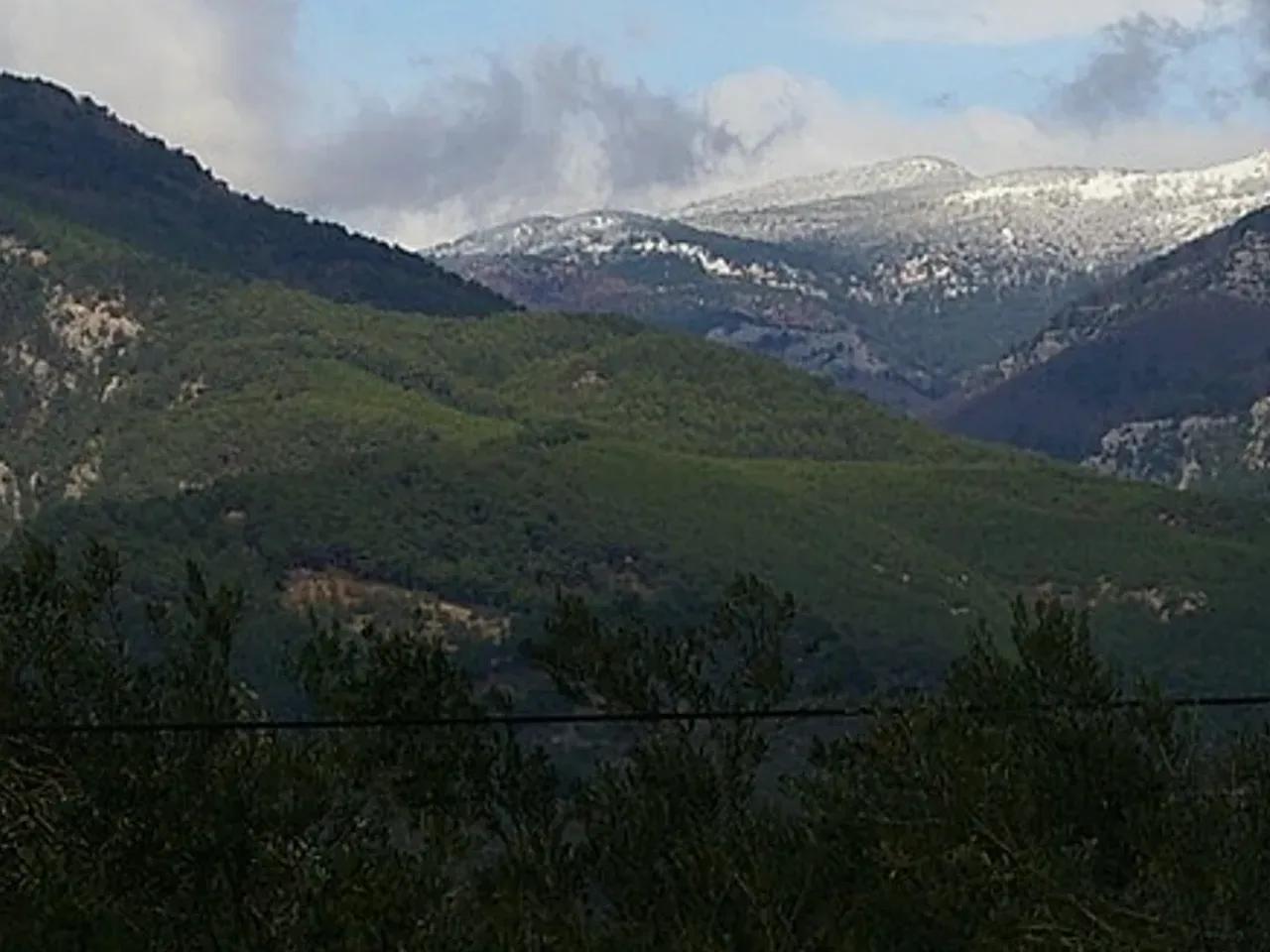 Körfez Tatil Sitesi - 2