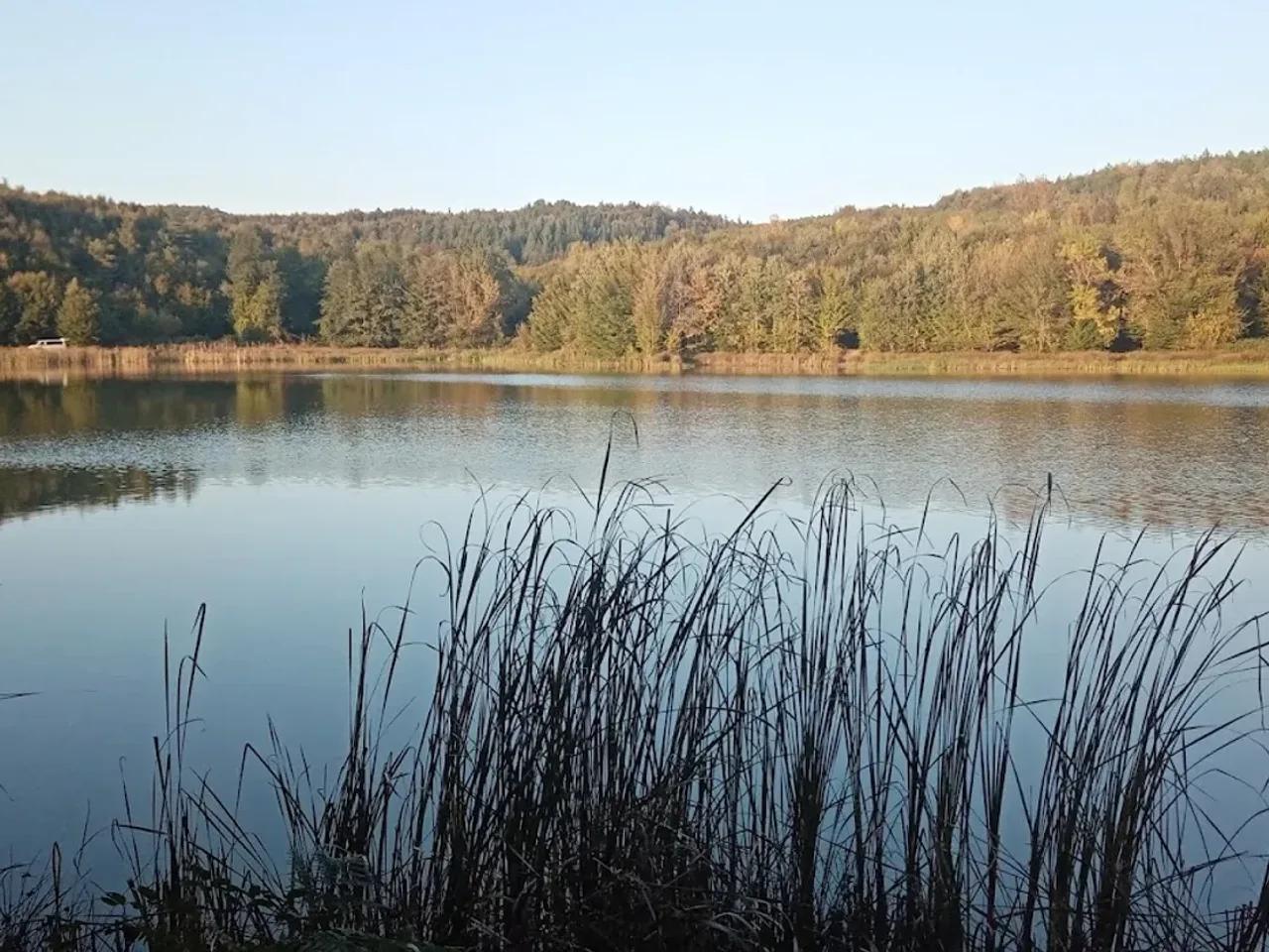 Korugöl Tabiat Parkı