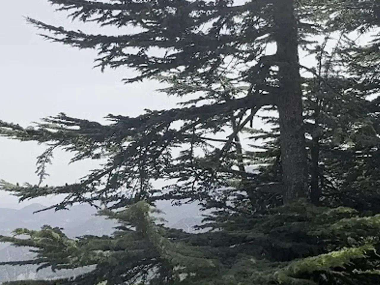 Köşne Yaylası - 3