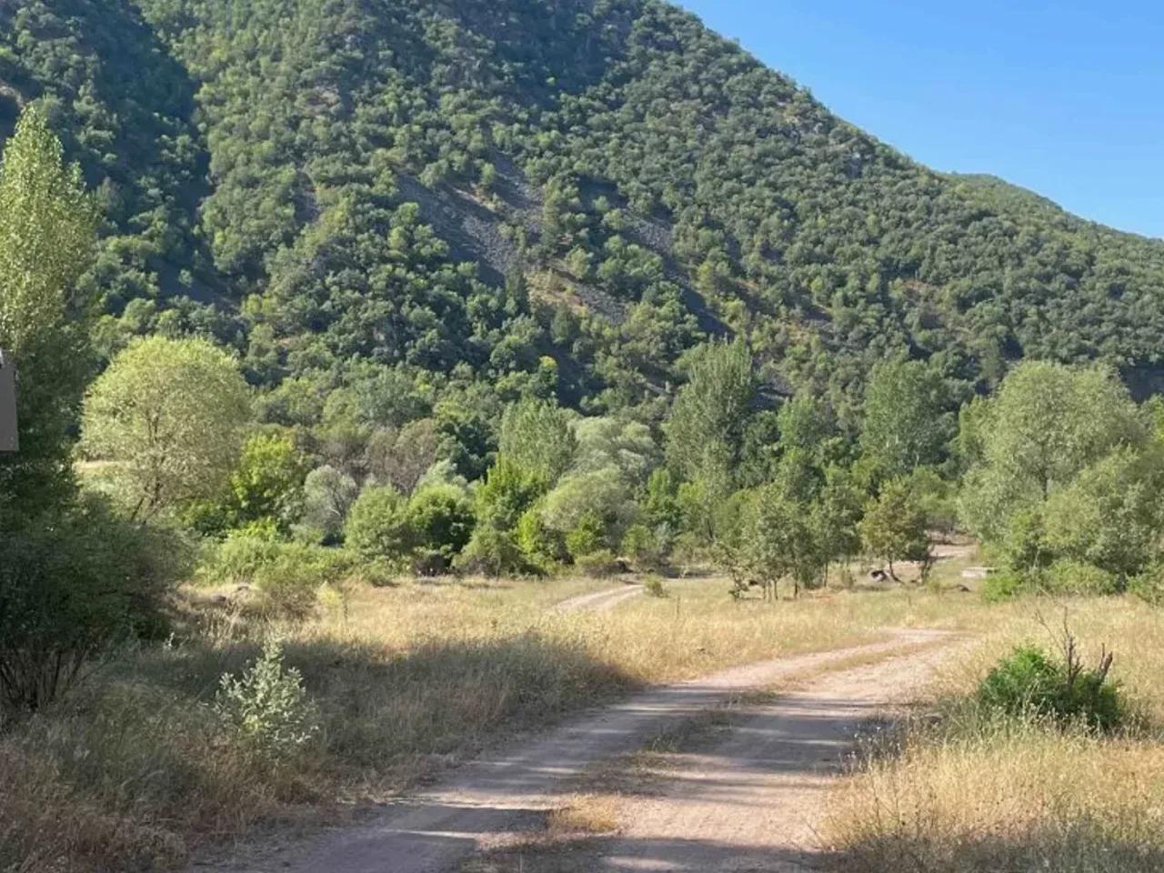 Kösrelik Göleti Kamp Alanı