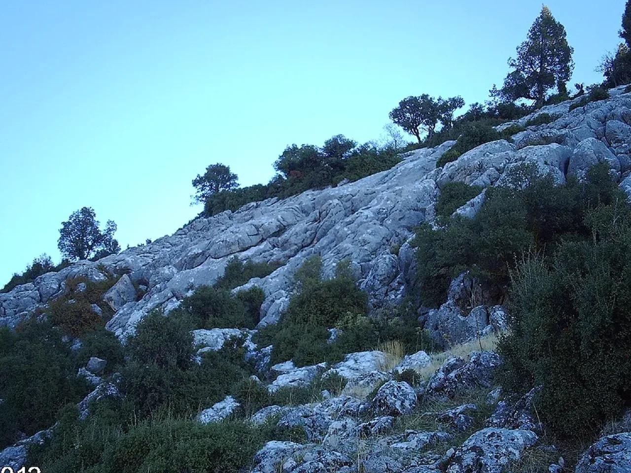 Kovada Gölü Milli Parkı