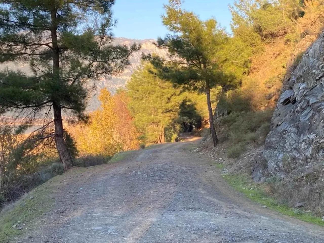 Köyceğiz - 2
