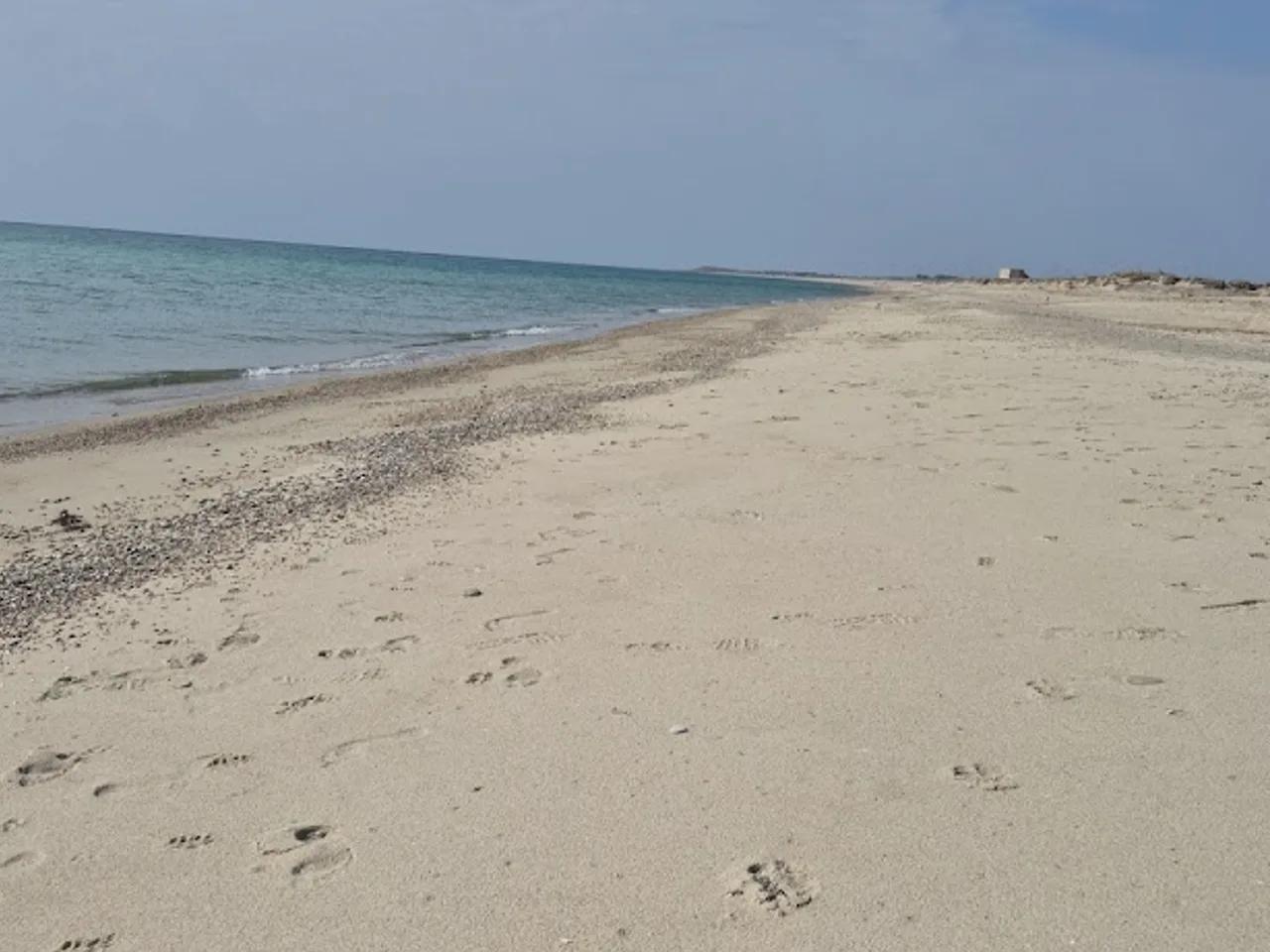 Küçükanafarta Plajı - 1