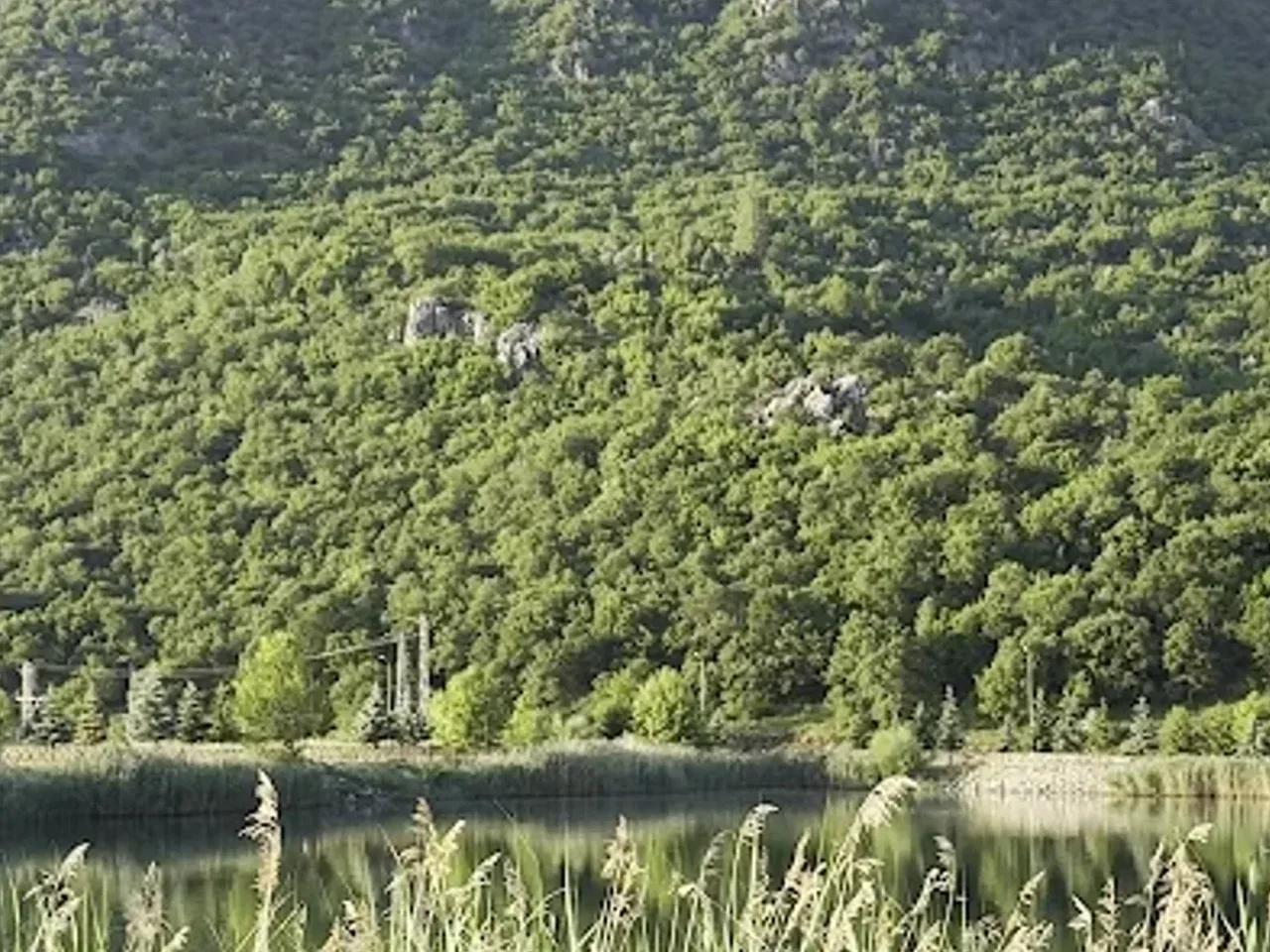 Kuğulu Tabiat Parkı - 2