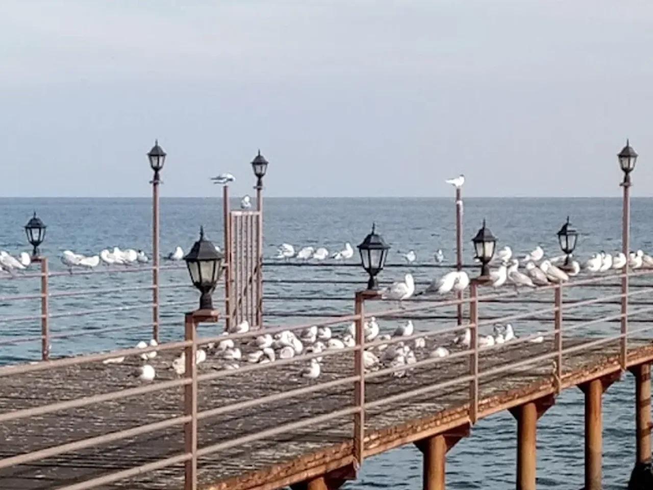 Kumbağ Cumhuriyet Halk Plajı - 3
