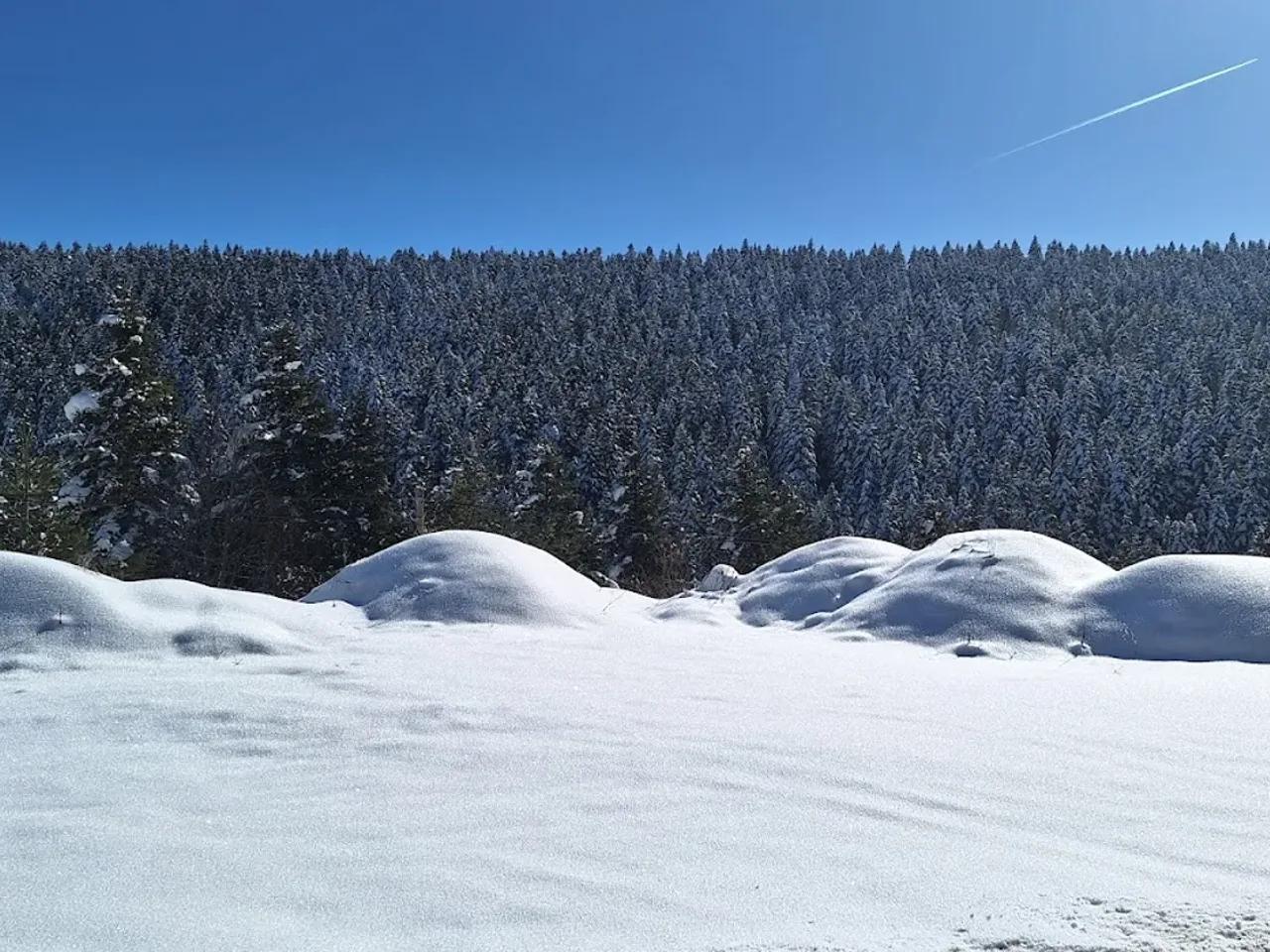 Küre Dağları Milli Parkı - 3