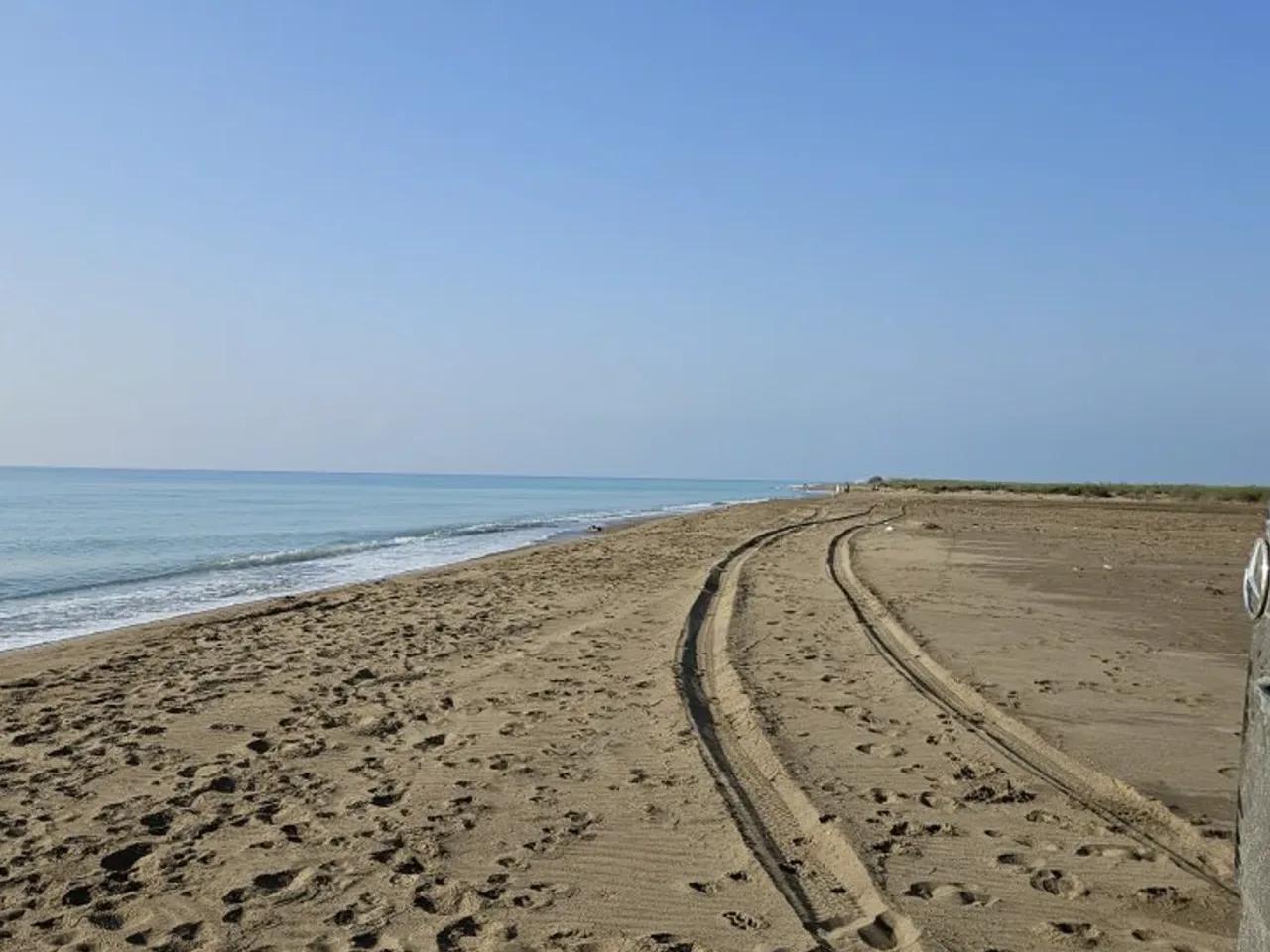 Kurtuluş, - 1