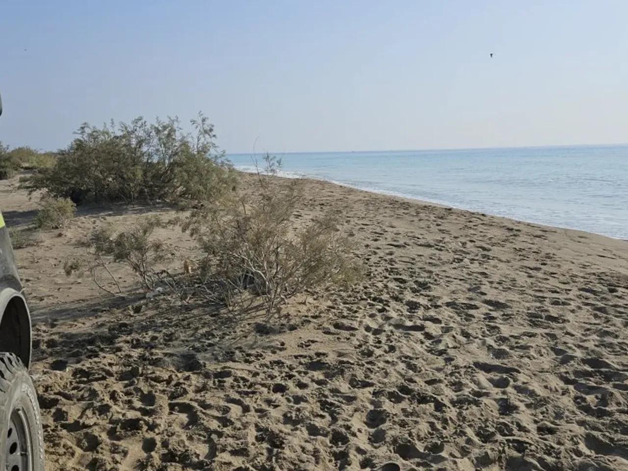 Kurtuluş, - 2