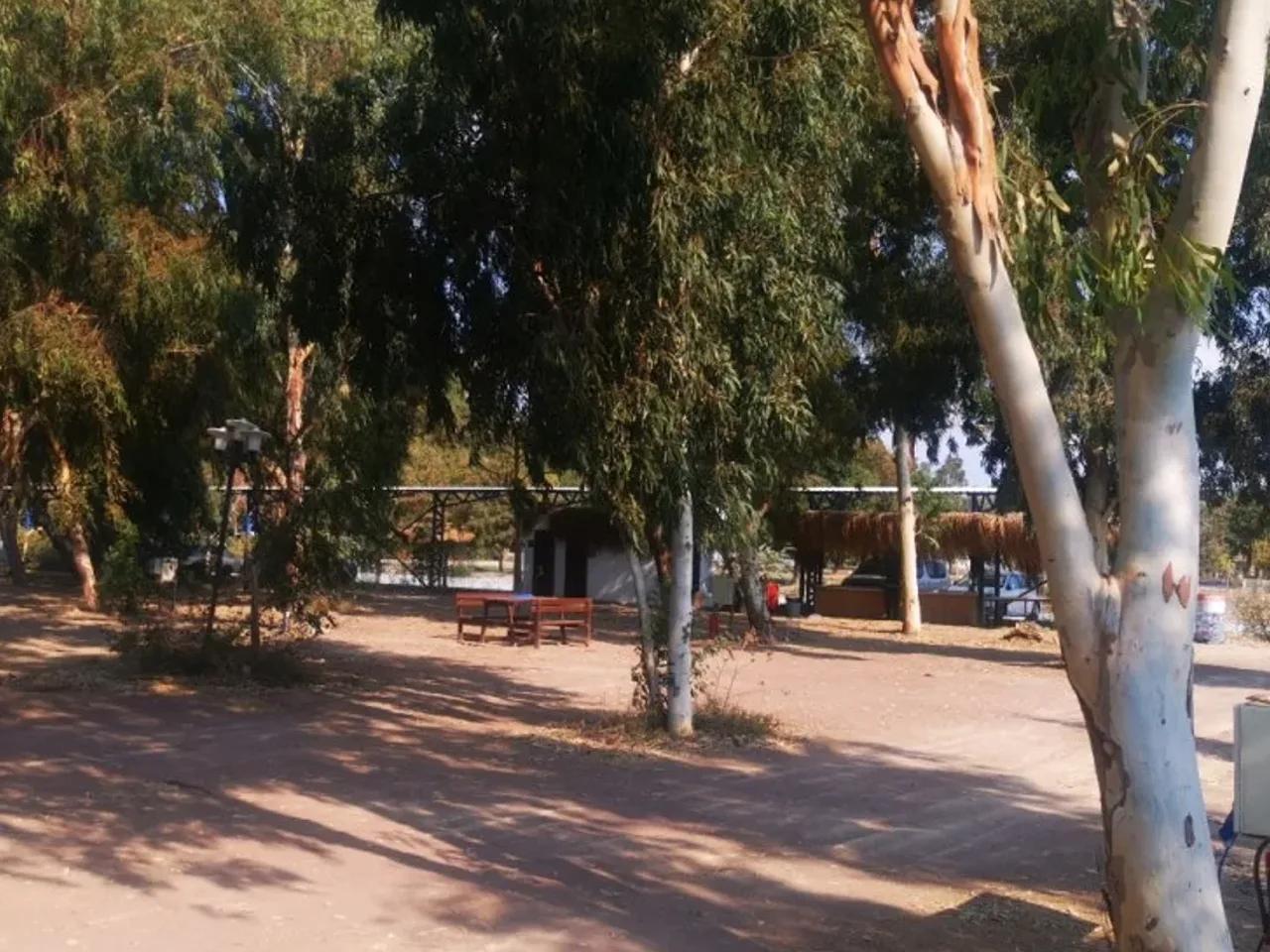 Kuşadası,Adnan Kahveci Caddesi - 3