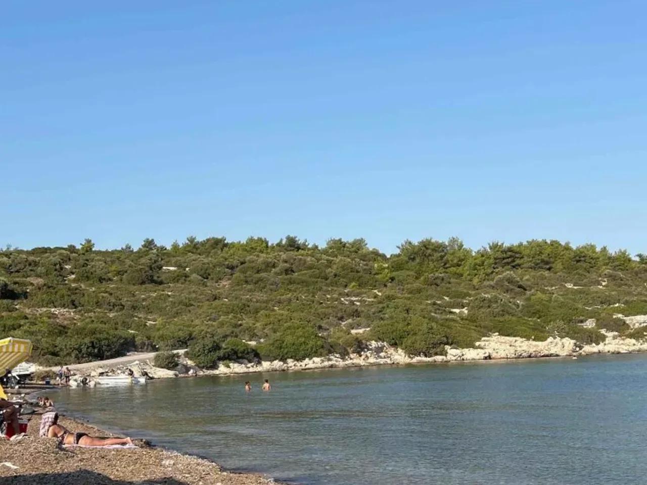 Kuşçular - 1