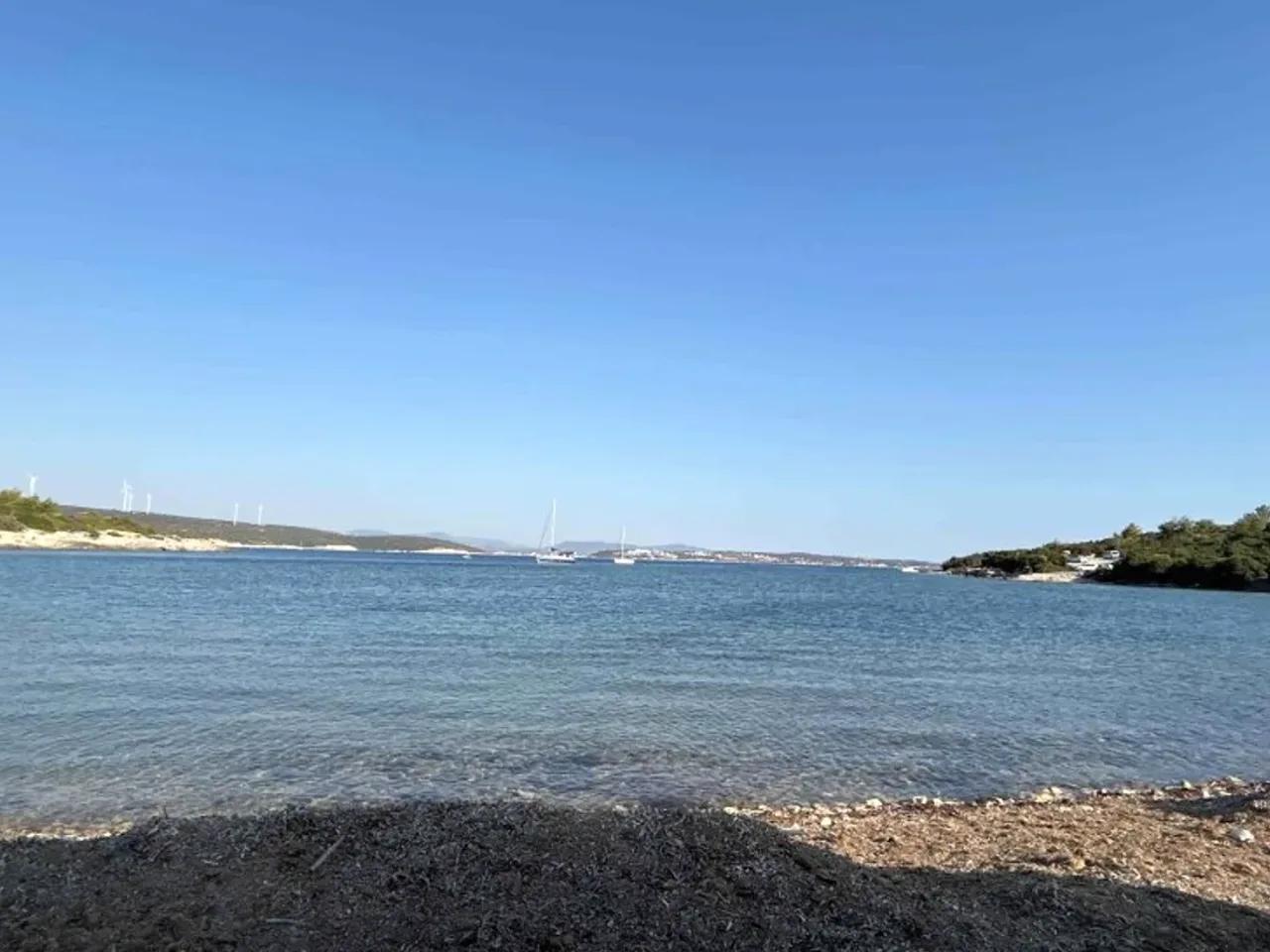 Kuşçular - 3