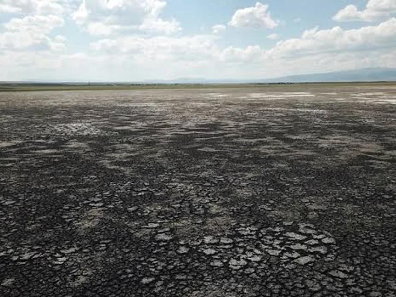 Kuyucuk Gölü Ramsar Alanı