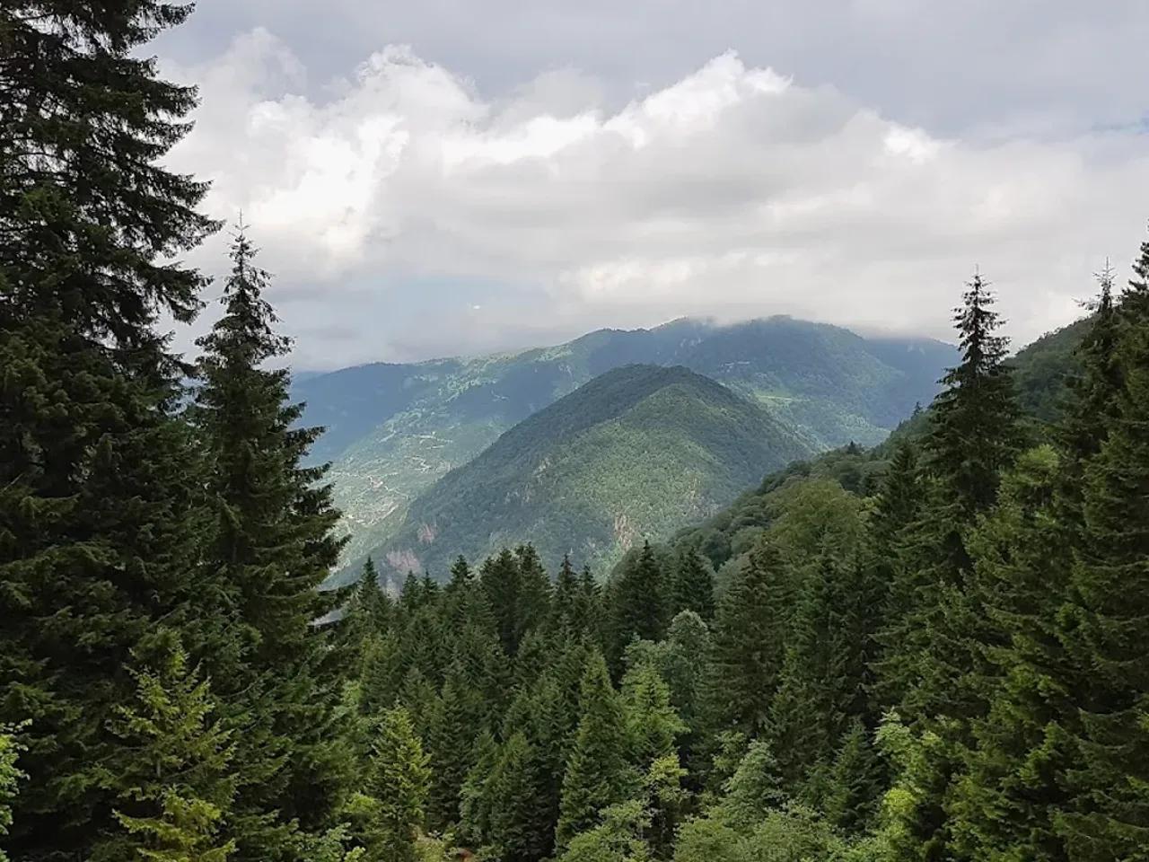 Kuzalan Tabiat Parkı - 2