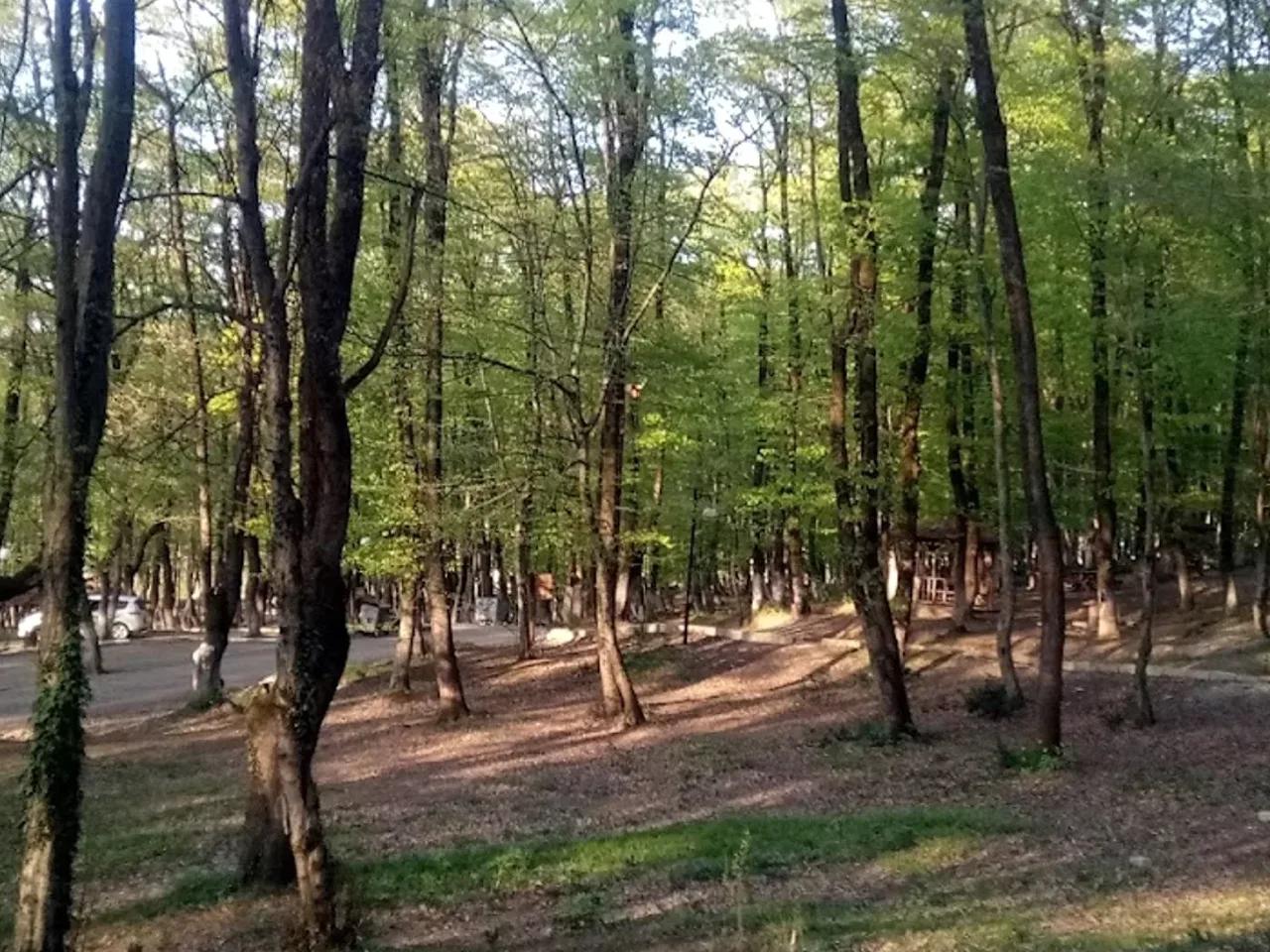 Kuzuluk Tabiat Parkı