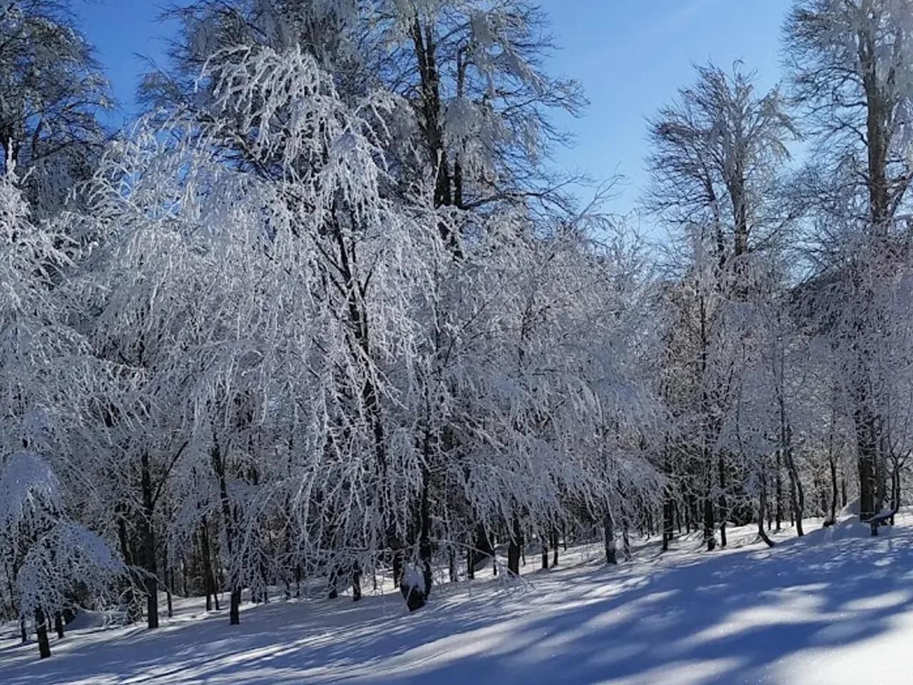 Kuzuyayla Tabiat Parkı