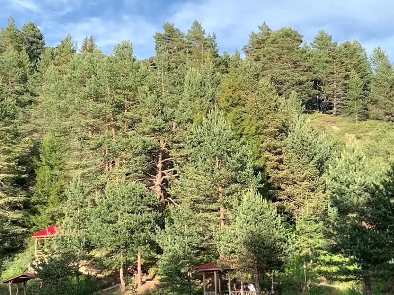 Limni Gölü Tabiat Parkı - 4