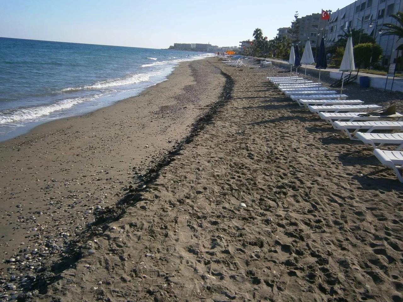 Limonlu Halk Plajı - 5