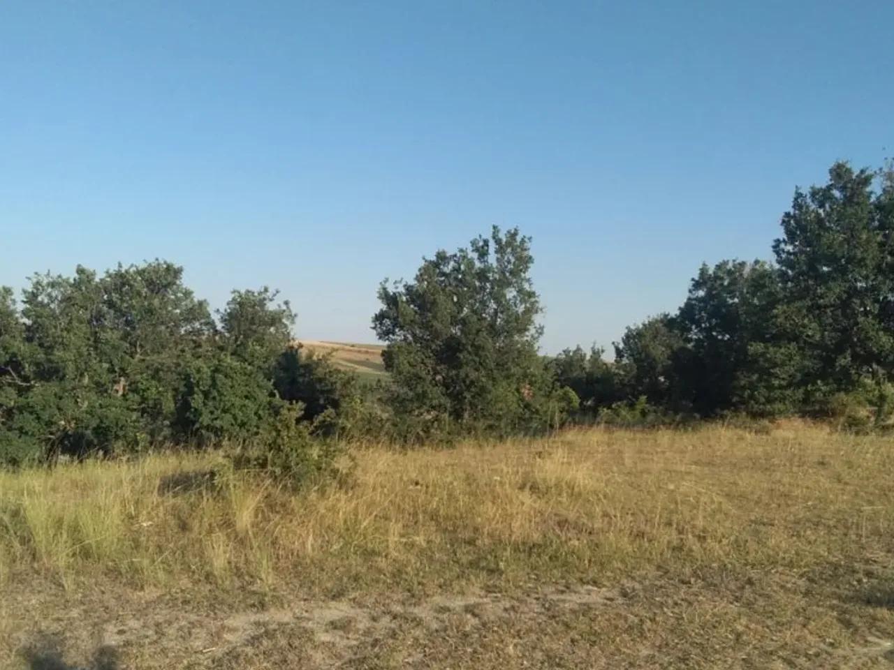Lüleburgaz/Kırklareli - 3