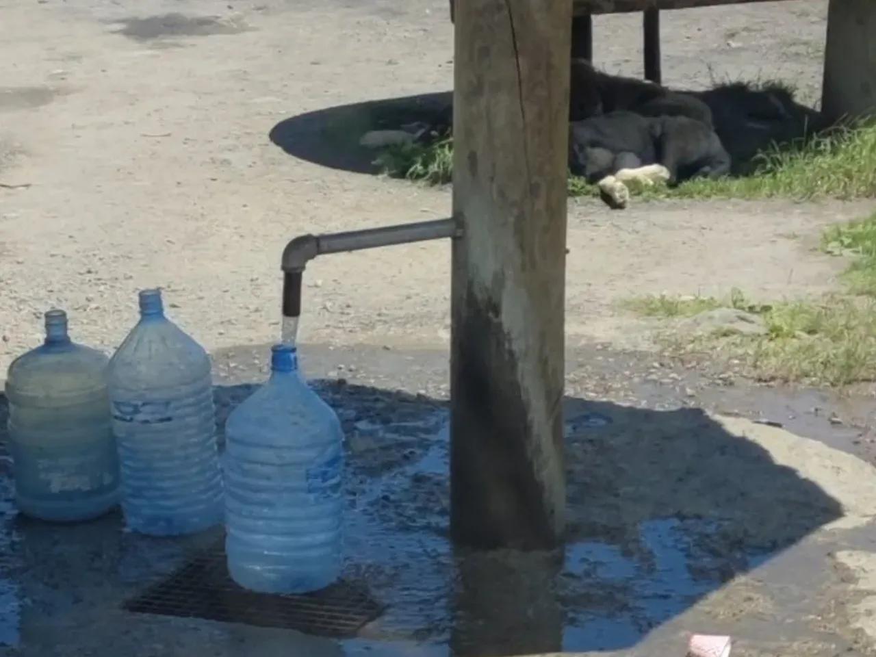 Maçka,160 Trabzon Gümüşhane Yolu - 1