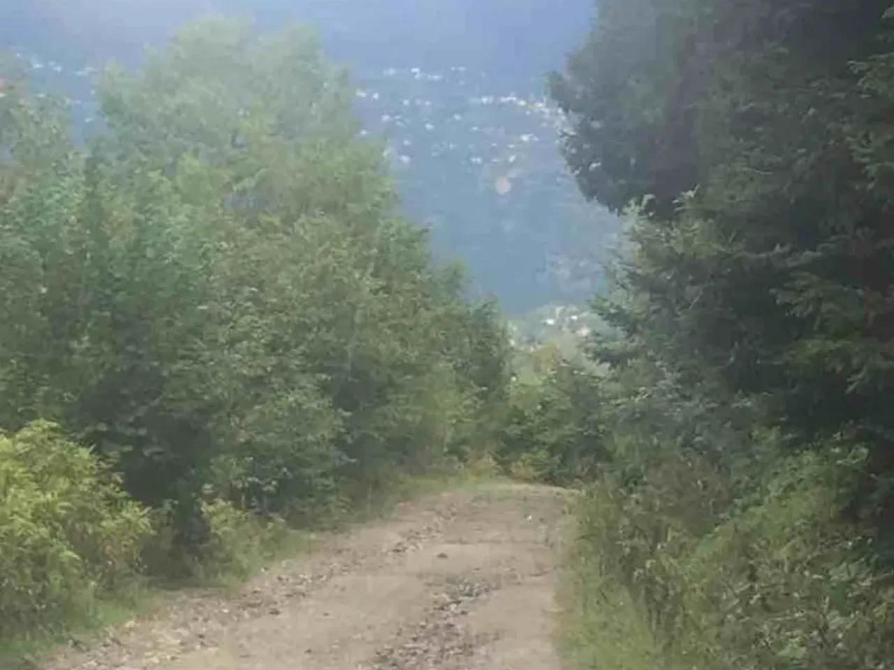 Maçka - 2