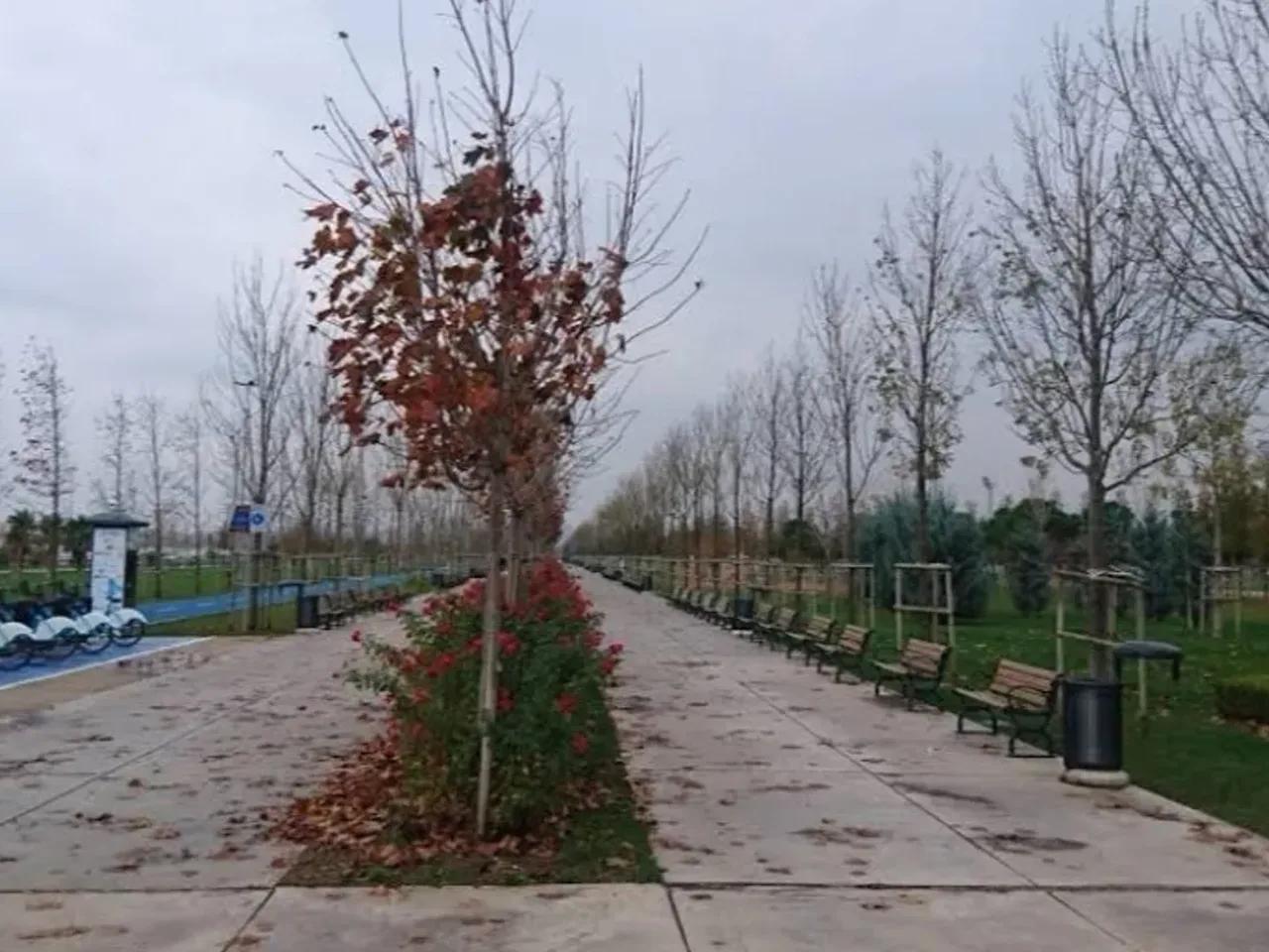 Maltepe,97 Turgut Özal Bulvarı - 2