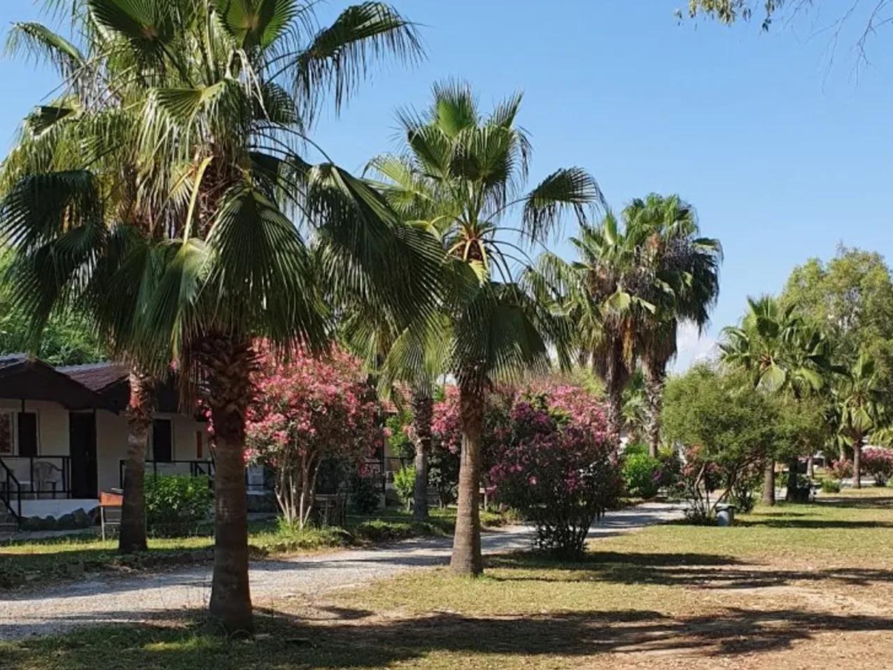 Manavgat - 2