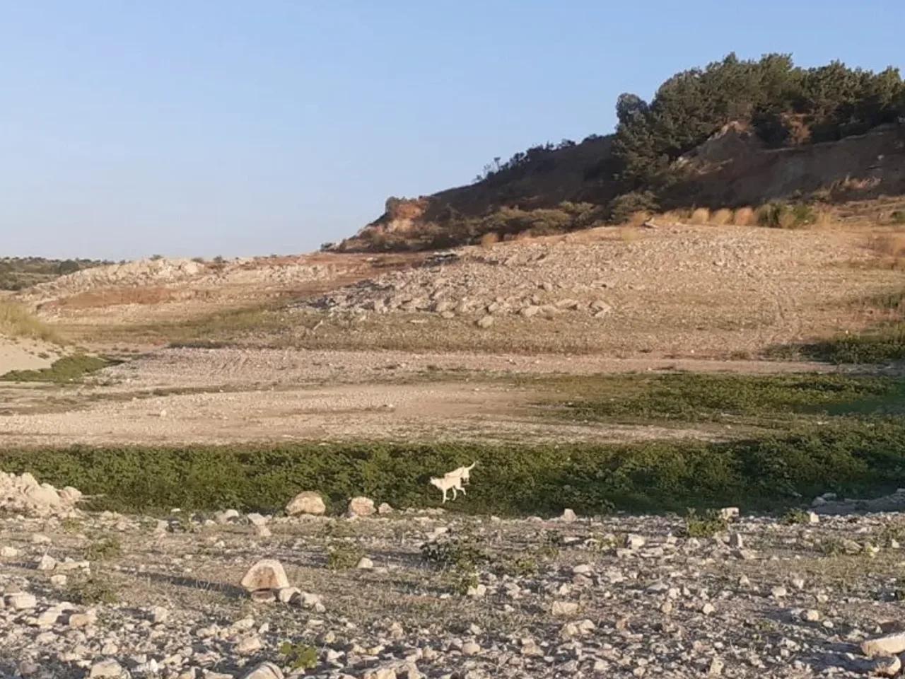 Manisa - 2