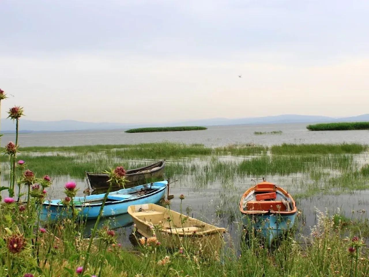 Manyas (Kuş) Gölü Ramsar Alanı - 2