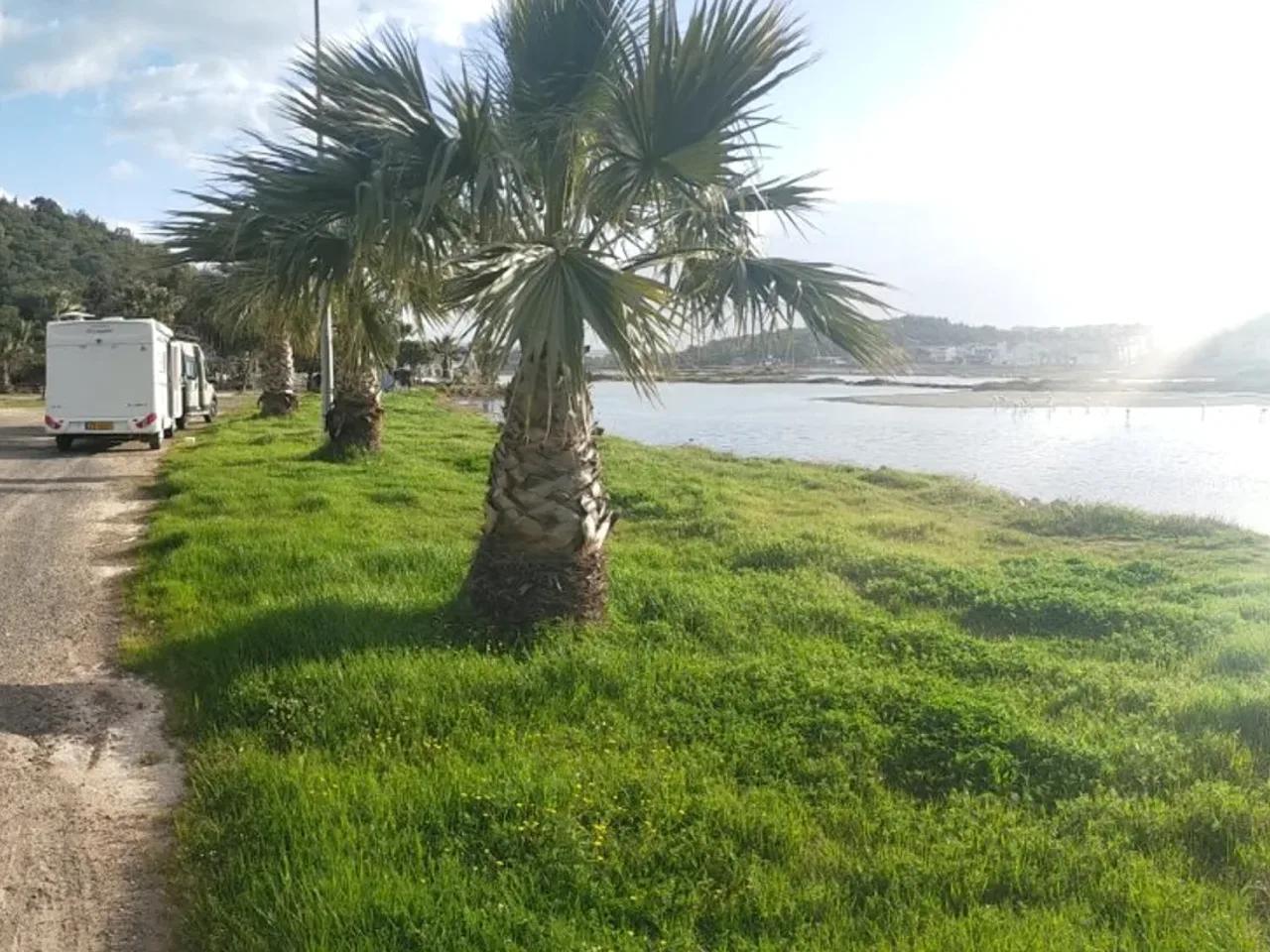 Mareşal Fevzi Çakmak Bulvarı - 3