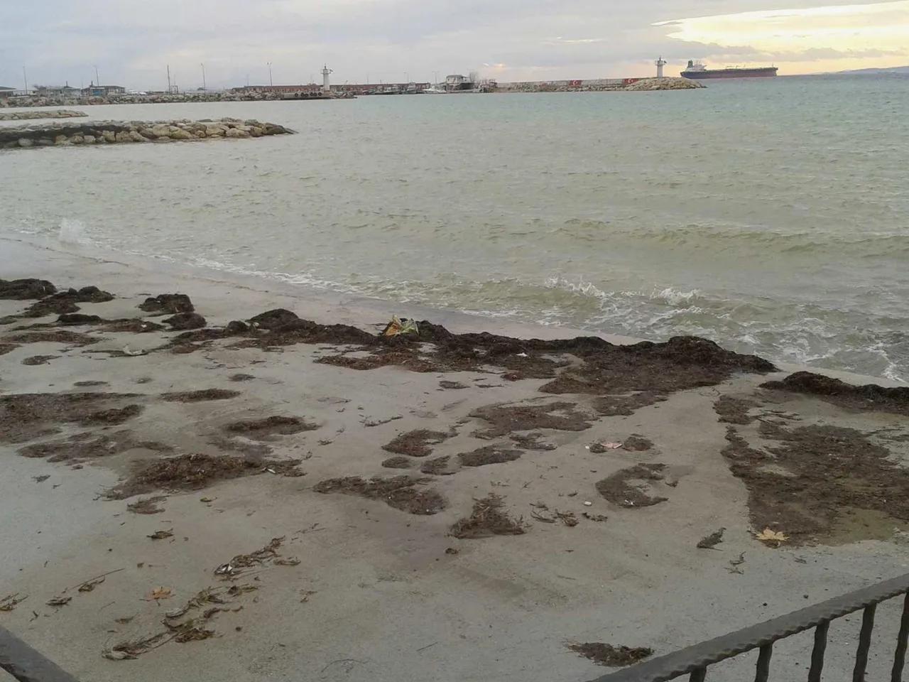 Marmara Evleri Önü Plajı - 2