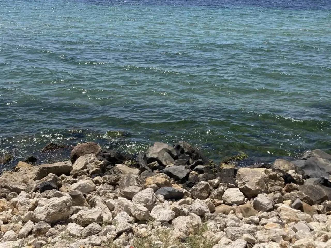 Marmaraereğlisi,6 Esnaf Sokak - 2