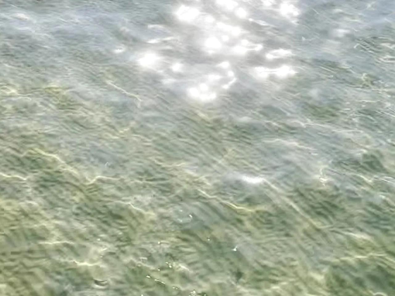 Massha Beach - 3