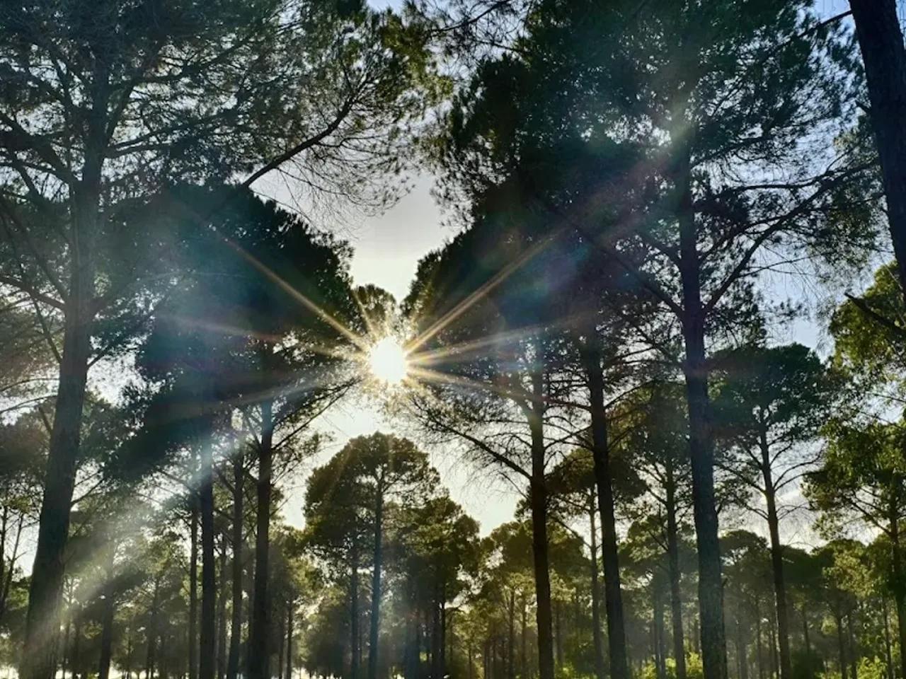 Mavikent Tabiat Parkı