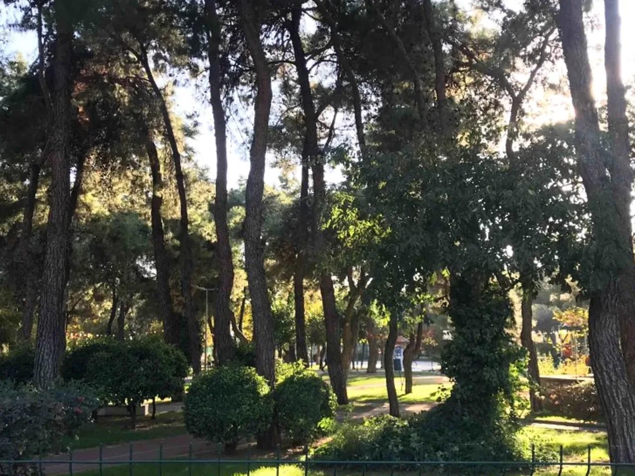 Menteşe,No:26 14 Nolu Sokak - 2
