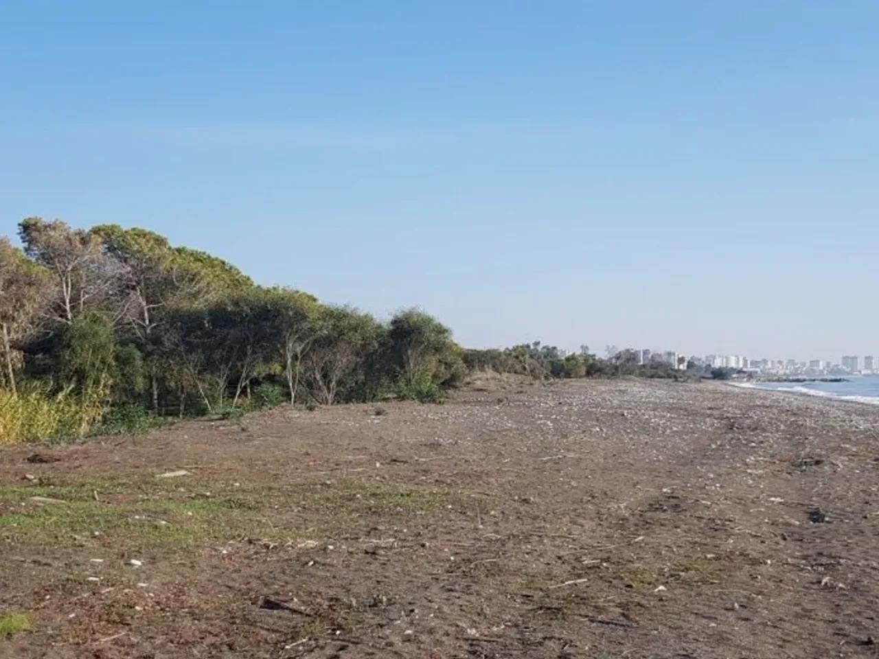 Mersin,225 Alparslan Türkeş Bulvarı - 2