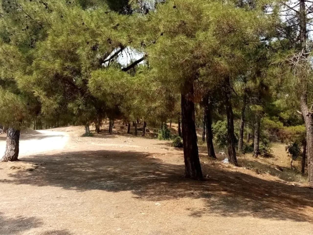 Mersin,Adana Aksaray Yolu - 1
