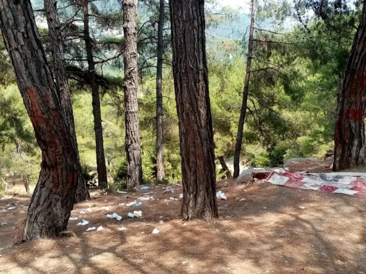 Mersin,Adana Aksaray Yolu - 2
