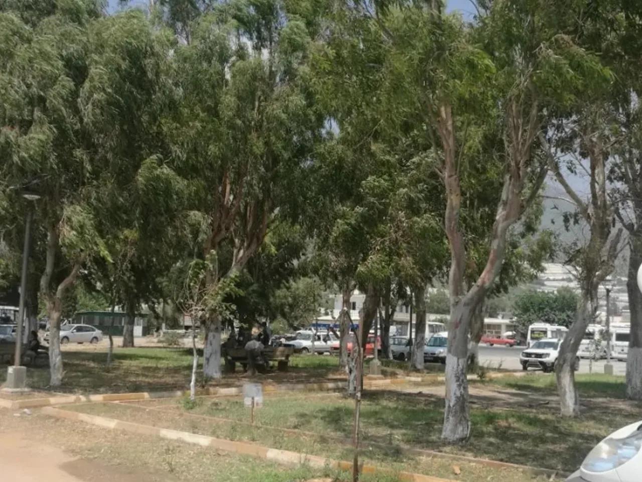Mersin,Mersin - Antalya Yolu - 1