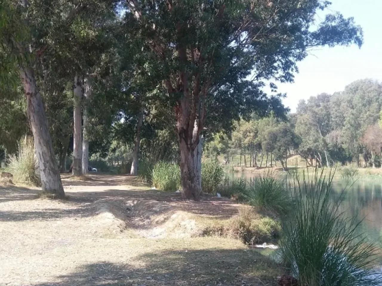 Mersin, - 2