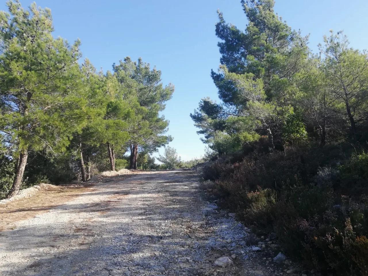 Meryemana Tabiat Parkı - 5