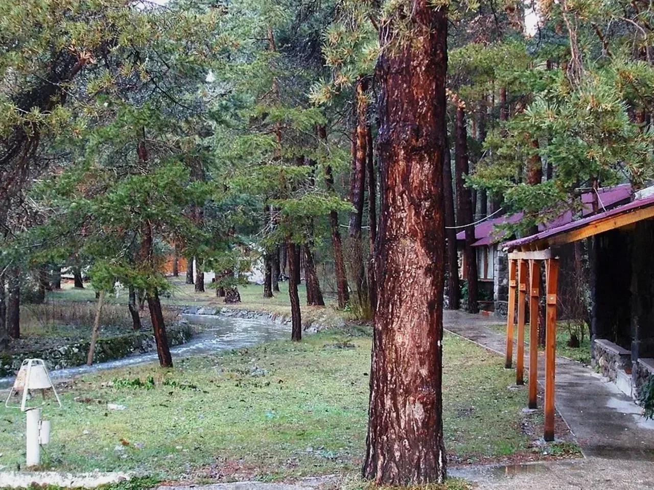 Meşeler Yaylası Kamp Alanı - 2