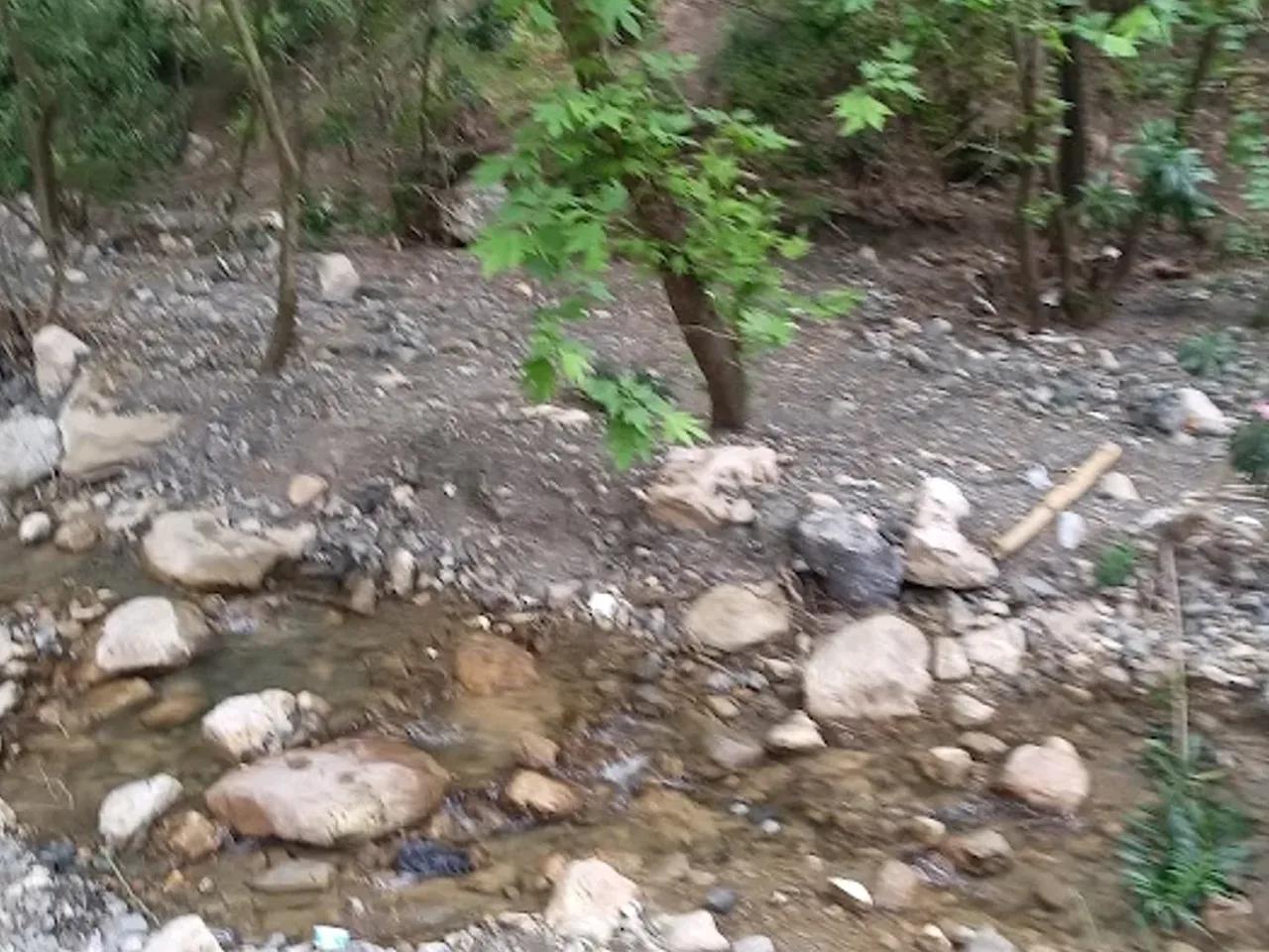 Mesir Tabiat Parkı - 2
