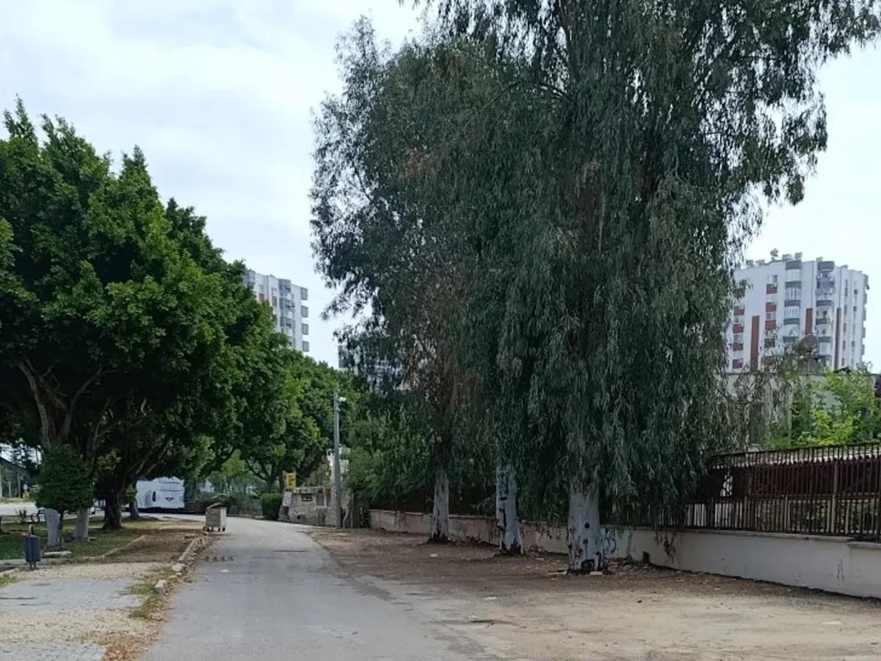 Mezitli,Barbaros Hayrettin Paşa Caddesi - 2