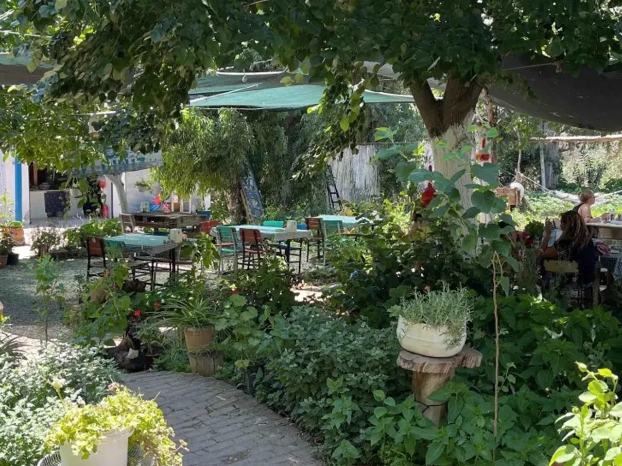 Milas,D525 - 1