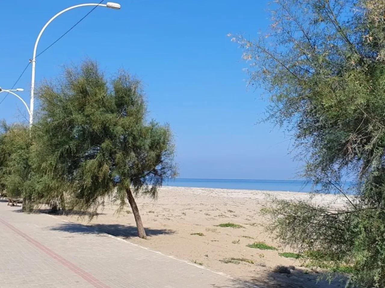 Mudanya,Mesudiye Sahil Yolu - 3