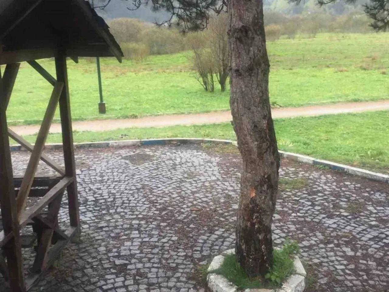 Mudurnu,Abant Yolu - 1
