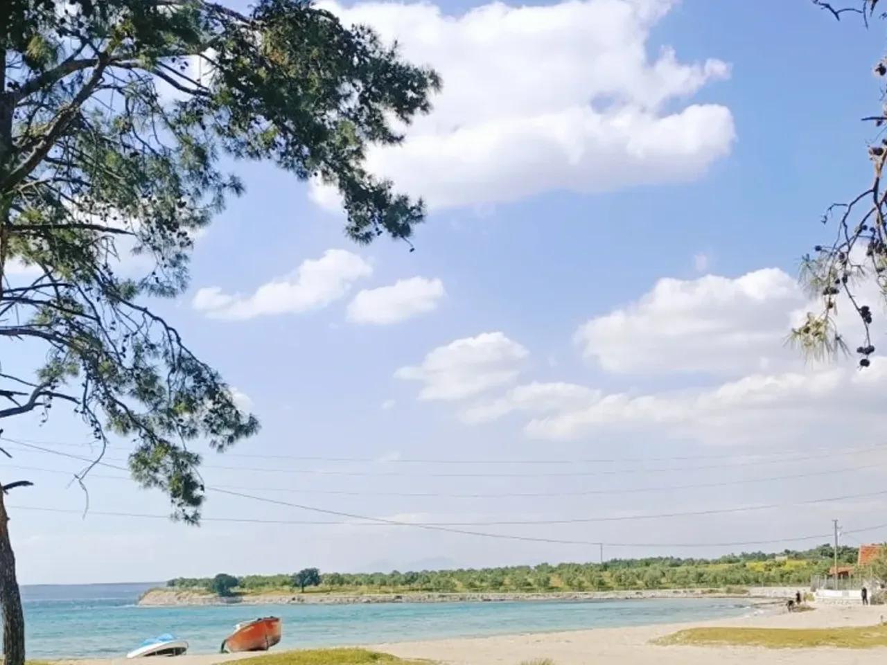 Muğla,151 Merkez Sokak - 2